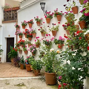 https://amal-casa-de-huspedes.es-andalucia.com